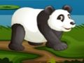 Trò chơi Gấu trúc bóng đá  trực tuyến