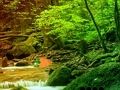 Trò chơi Lối thoát khỏi rừng cầu vồng yên bình  trực tuyến