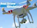 Trò chơi Trình mô phỏng Drone thực sự  trực tuyến