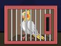 Trò chơi Thả chim Cockatiel  trực tuyến
