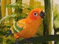Trò chơi Câu đố Budgie dễ thương  trực tuyến