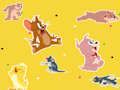 Trò chơi Chương trình Tom và Jerry Tìm nó!  trực tuyến