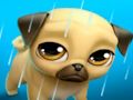 Trò chơi Thú cưng ảo Louie the Pug của tôi  trực tuyến