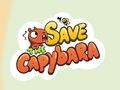 Trò chơi Cứu Capybara  trực tuyến