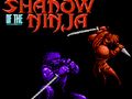 Trò chơi Cái bóng của Ninja  trực tuyến