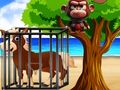 Trò chơi Cuộc đấu tranh bên bờ biển  trực tuyến