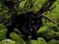 Trò chơi Thoát khỏi rừng Black Panther  trực tuyến