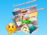 Trò chơi Câu đố ghép hình Thu thập hình ảnh với những chú mèo con dễ thương  trực tuyến