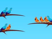 Trò chơi Phân loại chim  trực tuyến