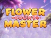 Trò chơi Master Count Count  trực tuyến