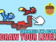 Trò chơi Squirrels và Acorn  trực tuyến