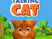 Trò chơi Talking Cat  trực tuyến