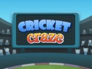 Trò chơi Cơn sốt cricket  trực tuyến