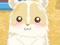 Trò chơi Tình yêu hamster  trực tuyến
