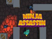 Trò chơi Ninja Assassin trực tuyến