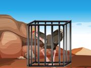 Trò chơi EMU Key Quest trực tuyến