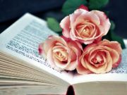 Trò chơi Sách Blooms Jigsaw trực tuyến