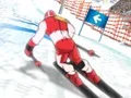 Trò chơi Winter Sports: Slalom Hero trực tuyến