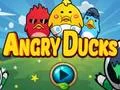Trò chơi Angry Ducks trực tuyến