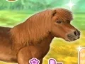 Trò chơi My Dear Pony trực tuyến