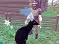 Trò chơi Deer Simulator 3D trực tuyến