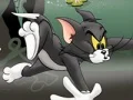 Trò chơi Tom và Jerry Chase trong Marsh  trực tuyến