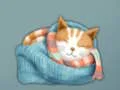 Trò chơi Adorable Escape Find Cute Kitten trực tuyến