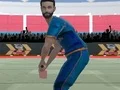 Trò chơi Cricket Powerplay trực tuyến