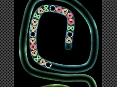 Trò chơi Bắn súng TD  trực tuyến