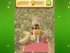 Trò chơi Farm Cat Memory Match trực tuyến