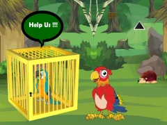 Trò chơi Release Trapped Macaw Buddy trực tuyến