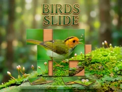 Trò chơi Birds Slide trực tuyến