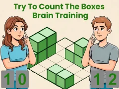 Trò chơi Try To Count The Boxes Brain Training trực tuyến