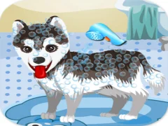 Trò chơi My Cute Dog Bathing trực tuyến