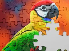 Trò chơi Jigsaw Master trực tuyến