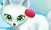 Trò chơi Paws to Beauty Arctic Edition trực tuyến
