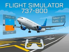 Trò chơi Flight Simulator 737-800 trực tuyến