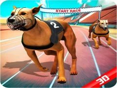 Trò chơi Crazy Dog Race trực tuyến