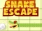 Trò chơi Snake escape trực tuyến