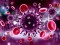 Trò chơi Coronavirus Puzzle trực tuyến