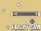Trò chơi Flight Sim trực tuyến