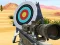 Trò chơi Hit Targets Shooting trực tuyến