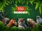 Trò chơi ZOO Trivia trực tuyến