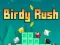 Trò chơi Birdy Rush trực tuyến