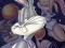 Trò chơi Space Jam trực tuyến