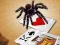 Trò chơi Jumping Spider trực tuyến