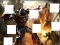 Trò chơi Transformers 3 image puzzles trực tuyến