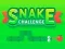 Trò chơi Snake Challenge trực tuyến