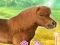 Trò chơi My Dear Pony trực tuyến
