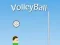 Trò chơi VolleyBall trực tuyến